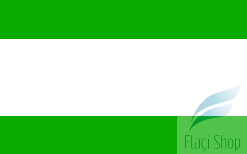 POL_Międzylesie_flag.svg.png