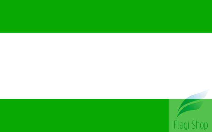 POL_Międzylesie_flag.svg.png