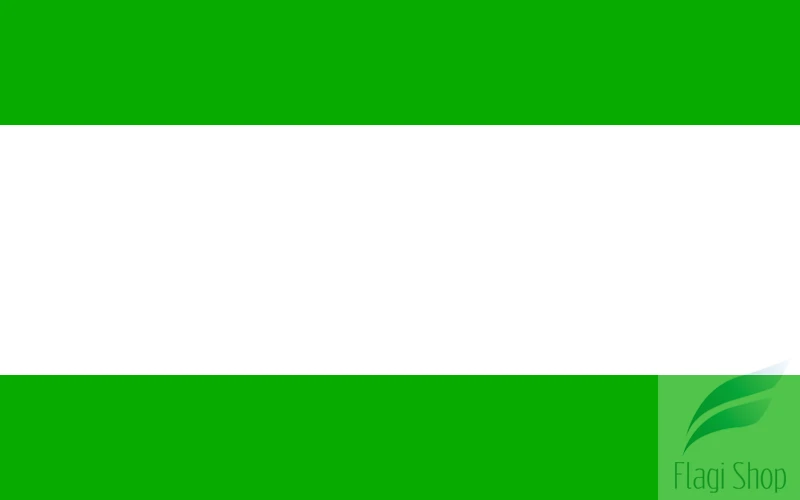 POL_Międzylesie_flag.svg.png