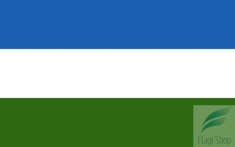POL_Mirsk_flag.svg.png