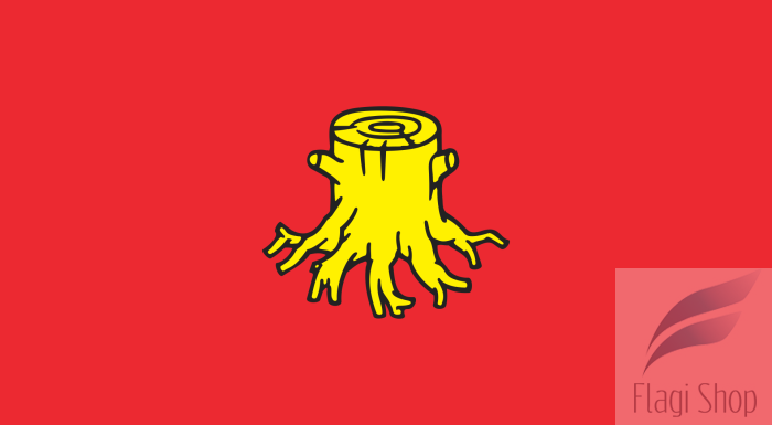 POL_Nowa_Ruda_flag.svg.png