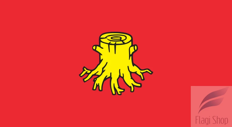 POL_Nowa_Ruda_flag.svg.png
