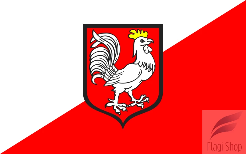 POL_Oława_flag.svg.png