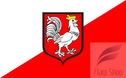 POL_Oława_flag.svg.png