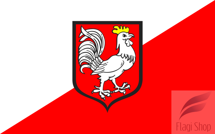 POL_Oława_flag.svg.png
