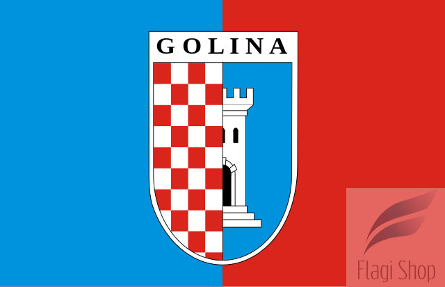 POL_Golina_flag.svg.png