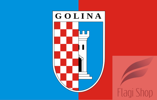 POL_Golina_flag.svg.png