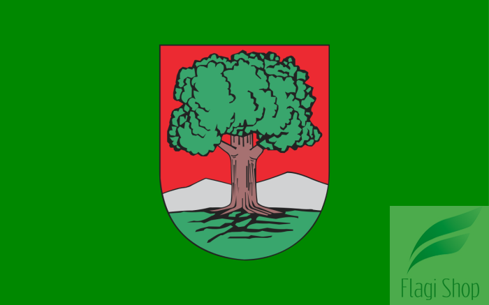 POL_Wałbrzych_flag.svg.png
