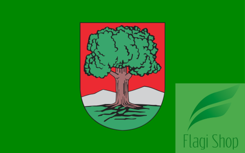 POL_Wałbrzych_flag.svg.png