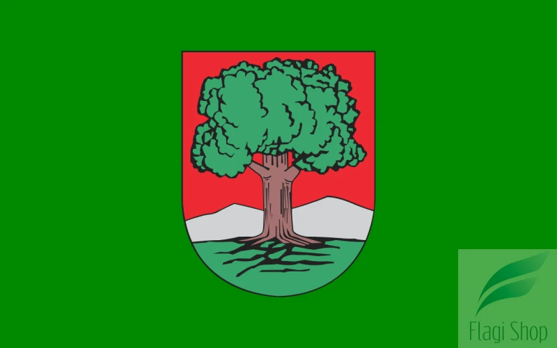 POL_Wałbrzych_flag.svg.png