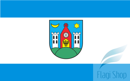 POL_Ziębice_flag.svg.png