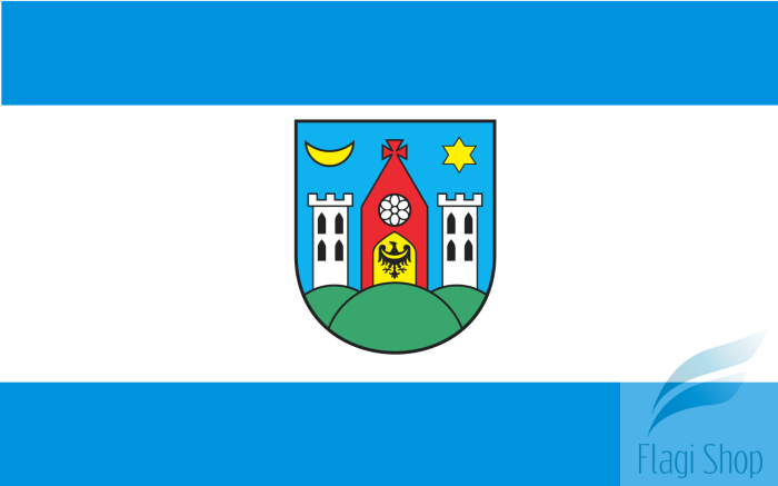 POL_Ziębice_flag.svg.png