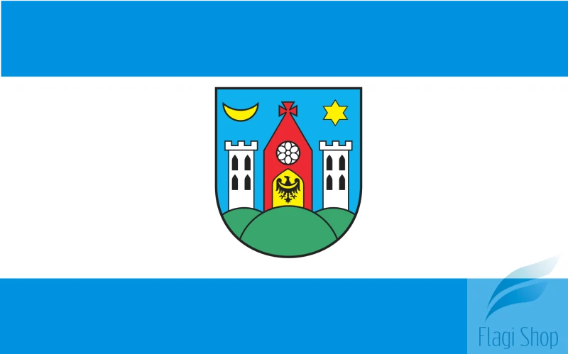 POL_Ziębice_flag.svg.png
