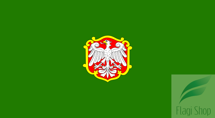 POL_Koźmin_Wielkopolski_flag.svg.png