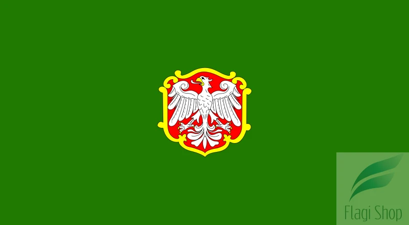 POL_Koźmin_Wielkopolski_flag.svg.png