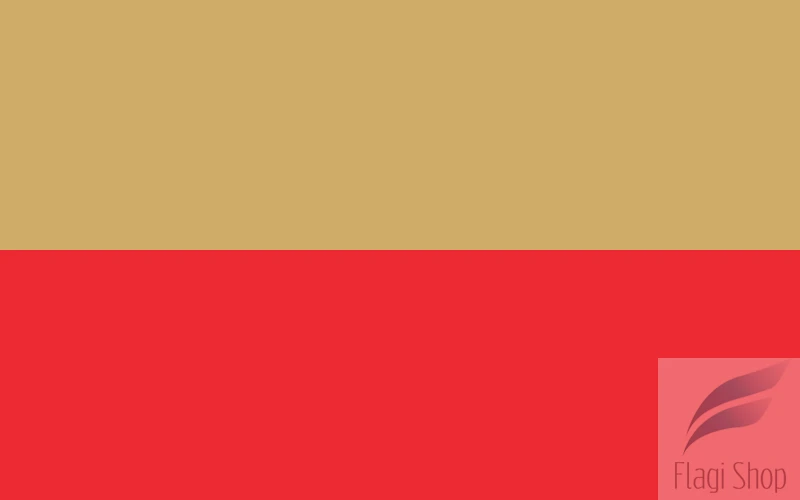 POL_Leszno_flag.svg.png