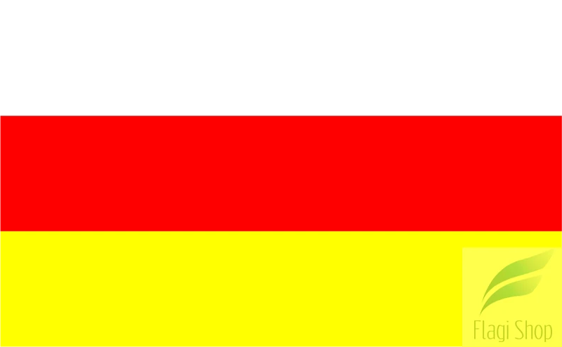 POL_Ostrzeszów_flag.svg.png