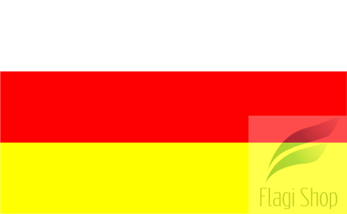 POL_Ostrzeszów_flag.svg.png