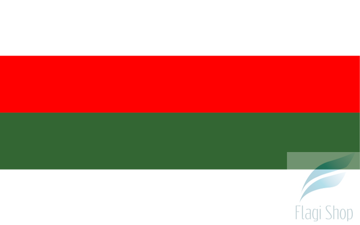 Pila_flag.svg.png