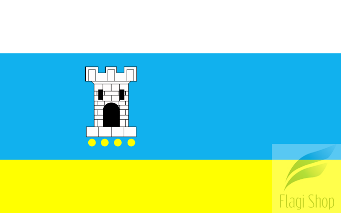 POL_Pleszew_flag.svg.png