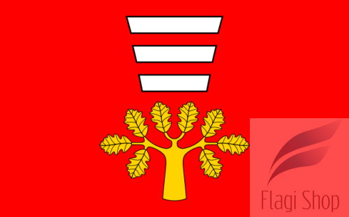 POL_gmina_Hańsk_flag.svg.png