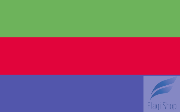 POL_Stawiszyn_flag.svg.png