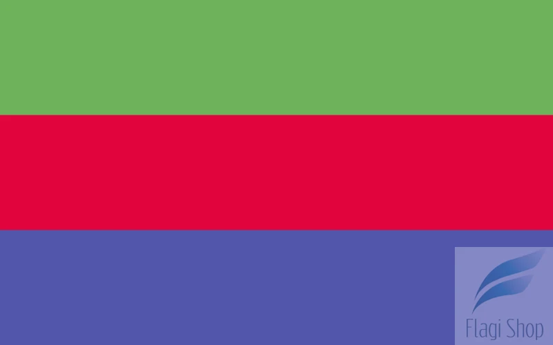 POL_Stawiszyn_flag.svg.png