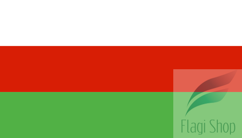 POL_Wieleń_flag.svg.png