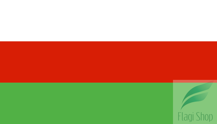 POL_Wieleń_flag.svg.png