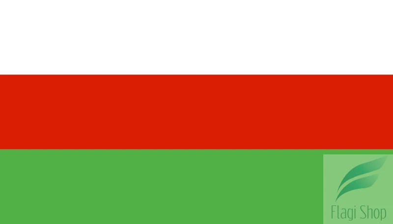 POL_Wieleń_flag.svg.png