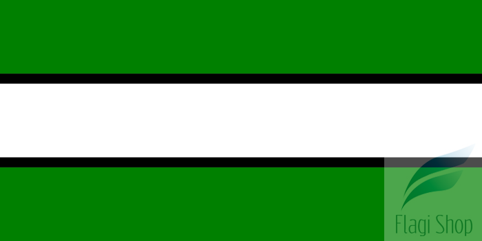 POL_Wronki_flag.svg.png