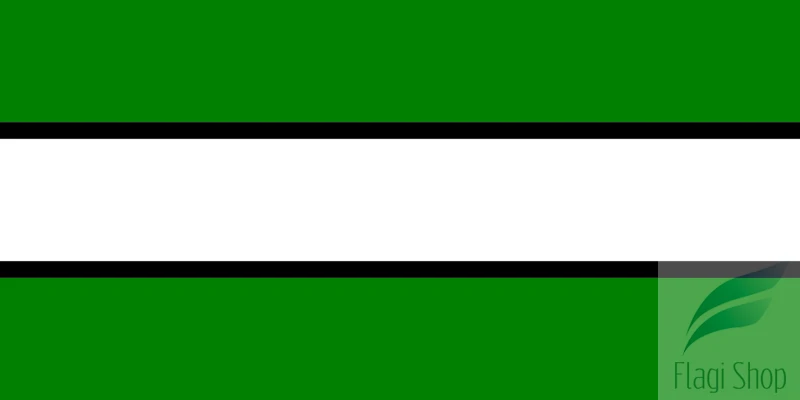 POL_Wronki_flag.svg.png