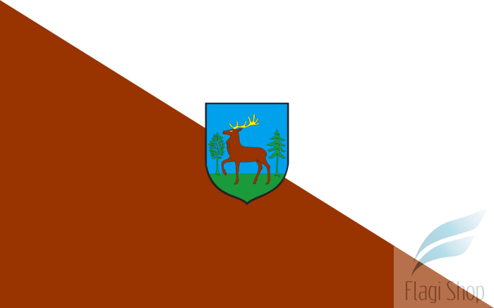 POL_Złotów_flag.svg.png
