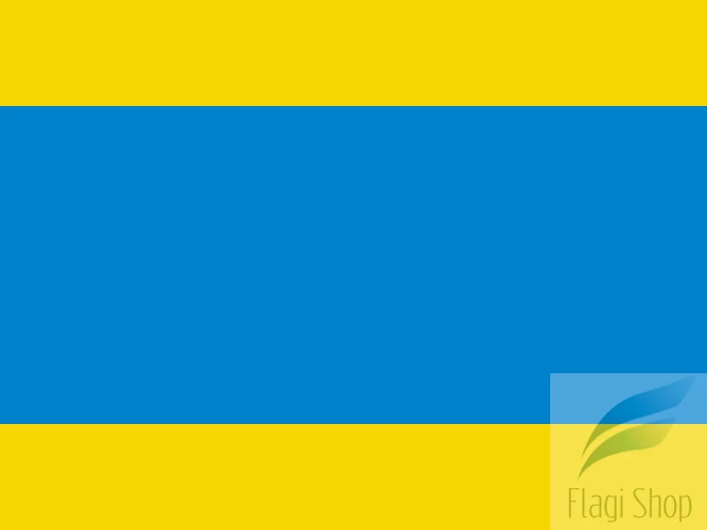 Powiat_dzierzoniowski_flaga.svg.png