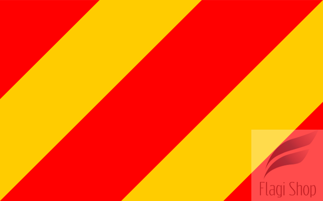 POL_powiat_kłodzki_flag.svg.png