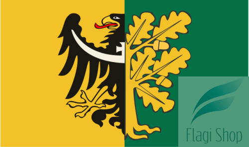 POL_powiat_wałbrzyski_flag.svg.png
