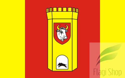 POL_powiat_człuchowski_flag.svg.png