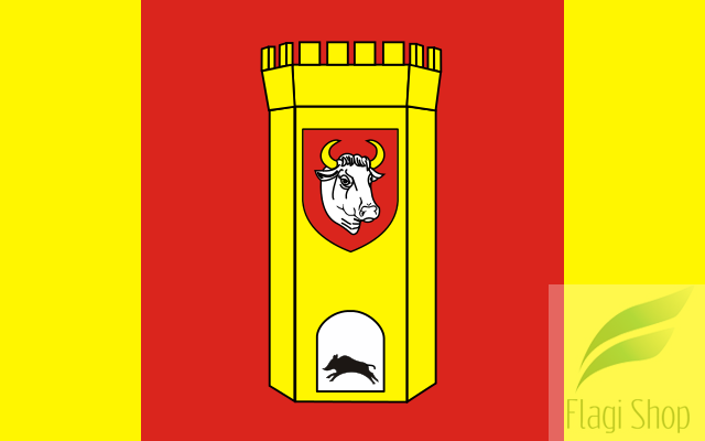 POL_powiat_człuchowski_flag.svg.png