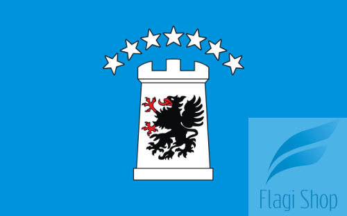 POL_powiat_kartuski_flag.svg.png