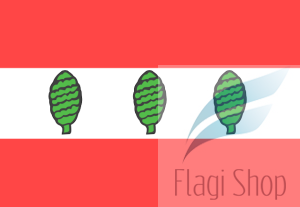 POL_powiat_sztumski_flag.svg.png