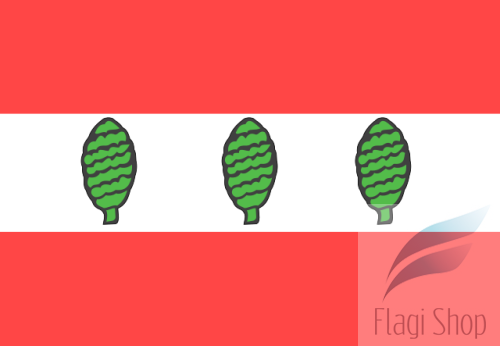 POL_powiat_sztumski_flag.svg.png
