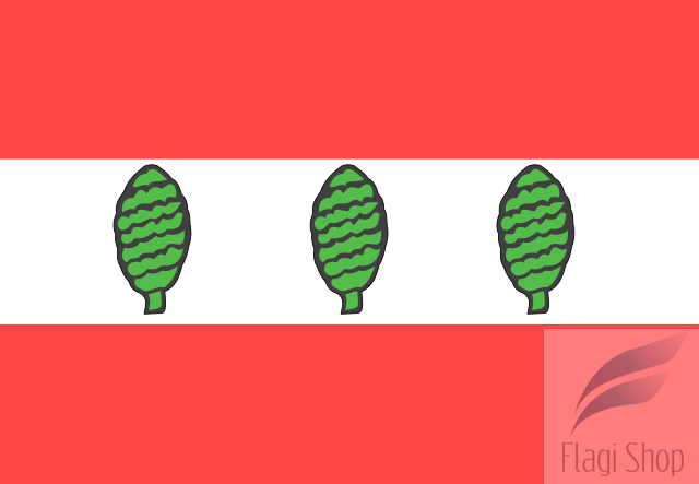 POL_powiat_sztumski_flag.svg.png