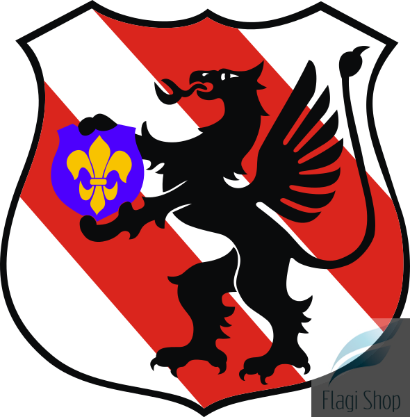 POL_gmina_Wicko_COA.svg.png