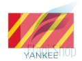 YANKEE.png