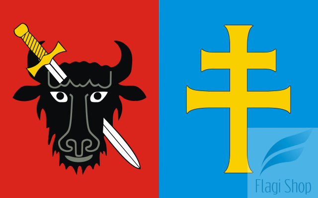 POL_powiat_jędrzejowski_flag.svg.png