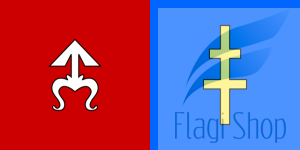 POL_powiat_skarżyski_flag.svg.png