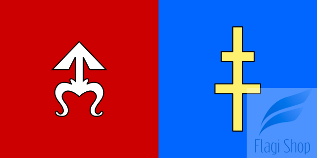 POL_powiat_skarżyski_flag.svg.png