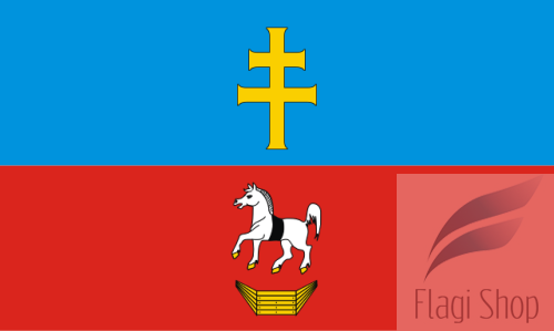 POL_powiat_włoszczowski_flag.svg.png