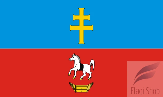 POL_powiat_włoszczowski_flag.svg.png