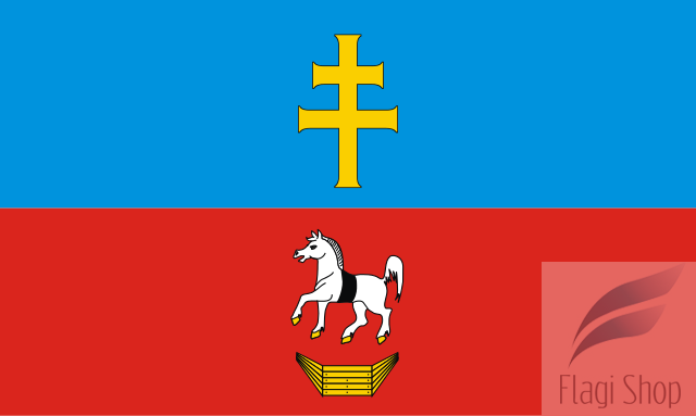 POL_powiat_włoszczowski_flag.svg.png